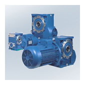 Worm gearmotors