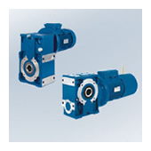 Parallel and right angle shaft gearmotors