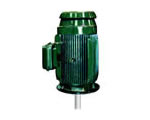 Vertical Shaft Impactor (VSI) - TEFC (IP55)